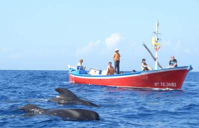 Oceano Whale Watching