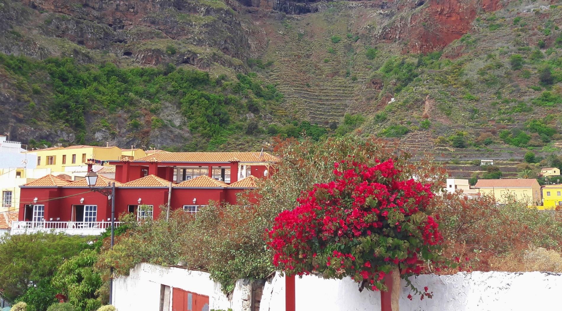 ferienhäuser-agulo-la-gomera.JPG