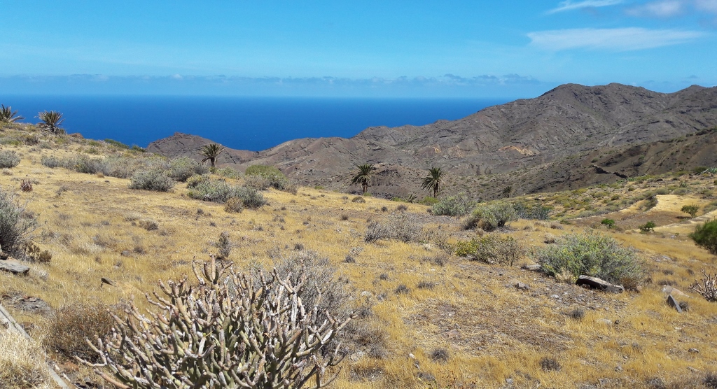 steppenlandschaft-alajera-la-gomera.jpg