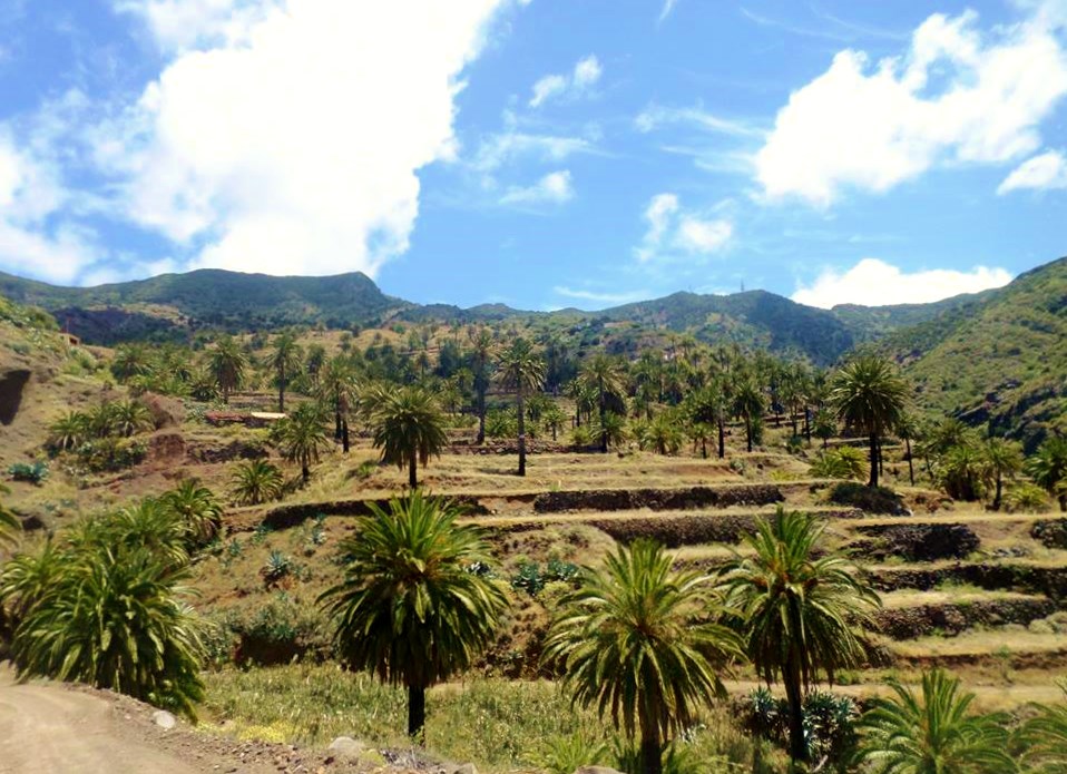 tazo-bei-alojera-la-gomera.jpg